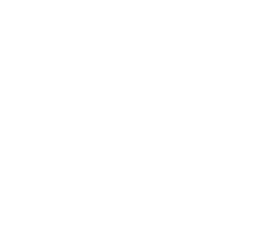Spruch: Ein starkes Team und ein gutes Netzwerk ist die Basis für Erfolg.